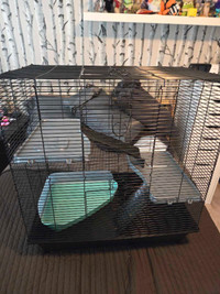 Rat cage + supplies
