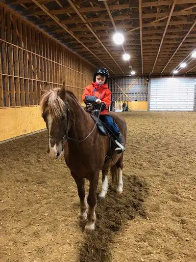Horses For Lease, View more