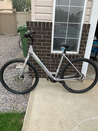 Trek Bike hybrid mountain bike lowstep