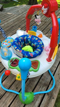 Fisher Price Laugh and Learn Jumperoo