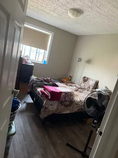room for rent