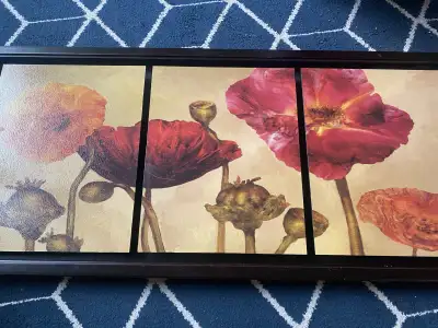 Framed 3-Panel Floral Wall Art – Poppy Design, View more