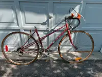 Fleetwing Vintage Bicycle