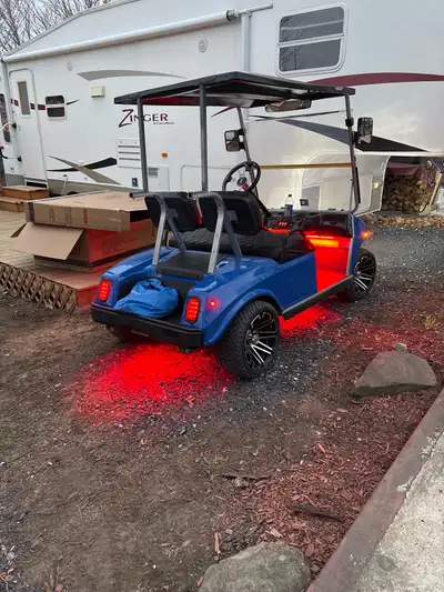 Cart de golf 1996 peinture mags et chargeur neuf batterie très bonne
