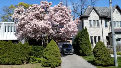 Yonge/Eglinton - Large room with private bathroom and walk out balcony - Queen size bed - Two closet...