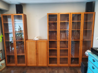 Bookshelf with glass doors