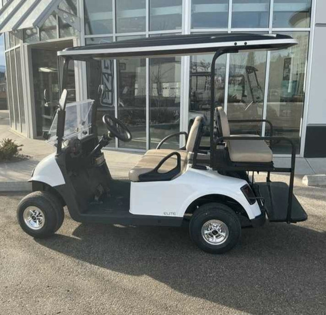 Lithium Golf Cart  in Other in Calgary - Image 2