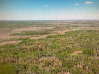 Land - 80 Acres for Sale