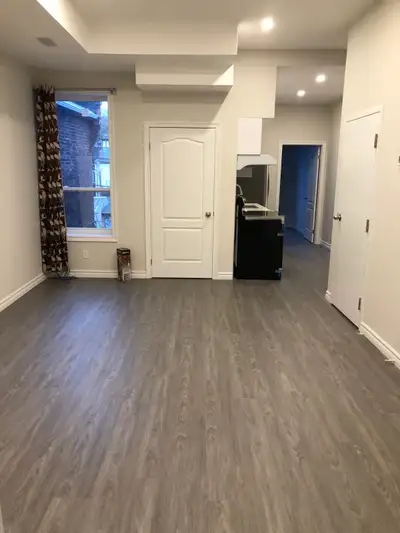 Super Bright Downtown Bedroom with Ensuite bathroom for Rent