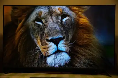 55” LG smart TV, View more