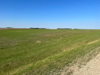 Sturgeon County Land for sale!