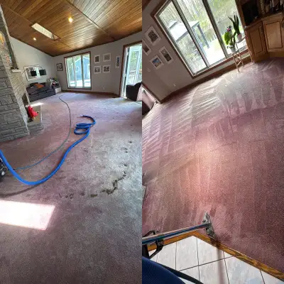 carpet, sofa , tiles and mattresses cleaning , View more