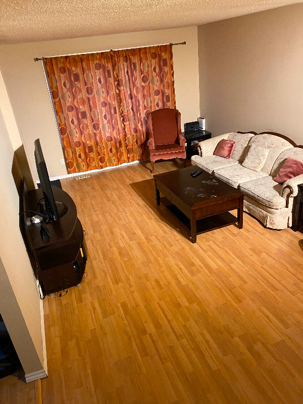 1 Bedroom Available For Rent Near Lambton College Short Term Rentals