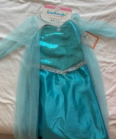 Girls Elsa, Moana, Aurora costumes for Halloween/birthdays, View more