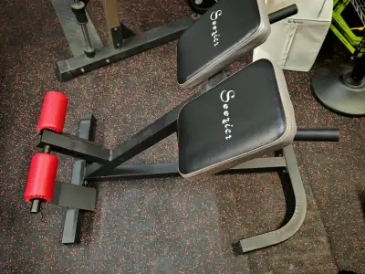 Saeier Back Extension Bench, View more