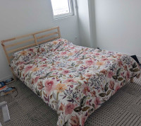 Double bed frame and mattress 