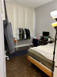 Bedroom in one bedroom apartment for three months 
