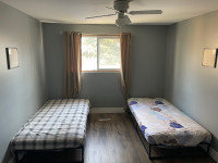 Shared room for rent 