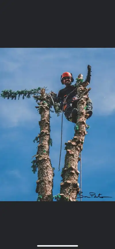 Tree  climber wanted , View more
