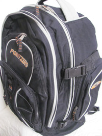 POINTZERO 35-Litres Backpack (Dwight-Muskoka)