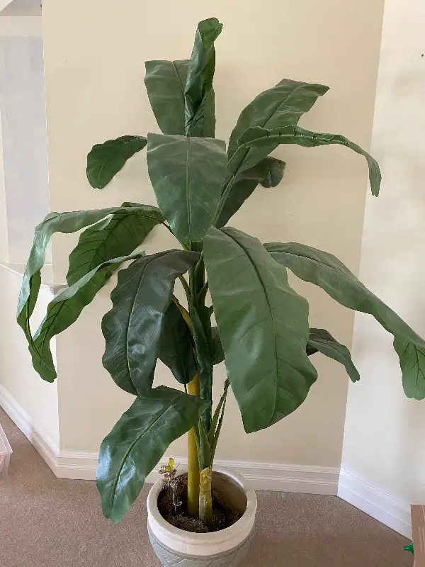 Artificial 7ft Indoor Tree with Pot in Home Décor & Accents in Edmonton - Image 3