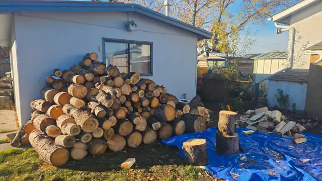 MOBILE FIREWOOD SPLITTING & ACREAGE FOREST CLEAN UP | Other | Calgary ...
