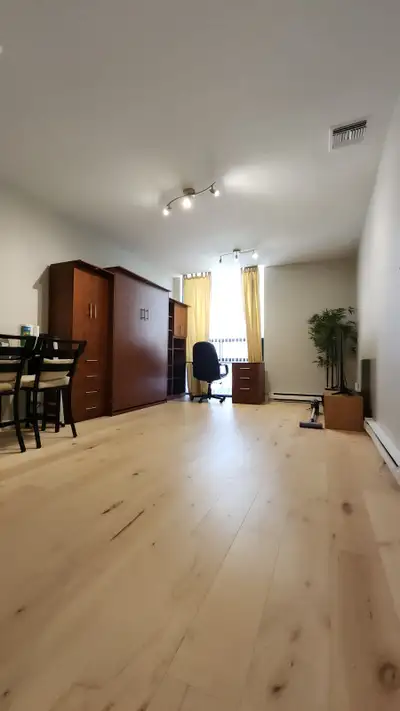 Furnished Bachelor with Parking Downtown Unit 3 month minimum