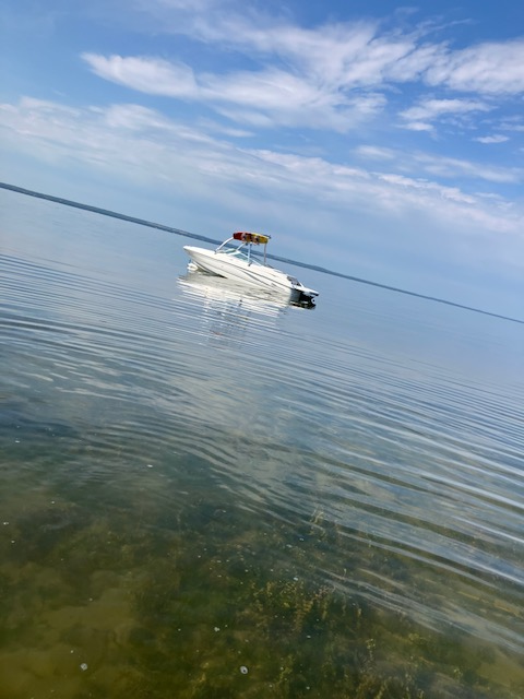 2004 Chaparral 190ssi in Powerboats & Motorboats in St. Albert - Image 6