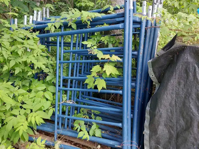 scaffolding517611201695600641