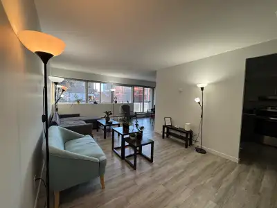 Looking for a clean, responsible, and respectful flatmate to share a beautiful, newly renovated room...