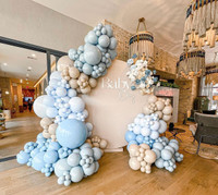Balloon Arch and Backdrop rental 