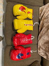 Boxing Gloves kids/youth
