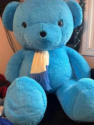 Teddy Bear, View more