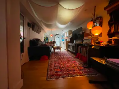 Dovercourt Village - Cozy 1 bedroom Lower Unit
