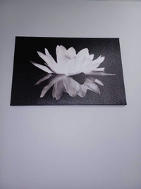 Lotus flower print - wall art