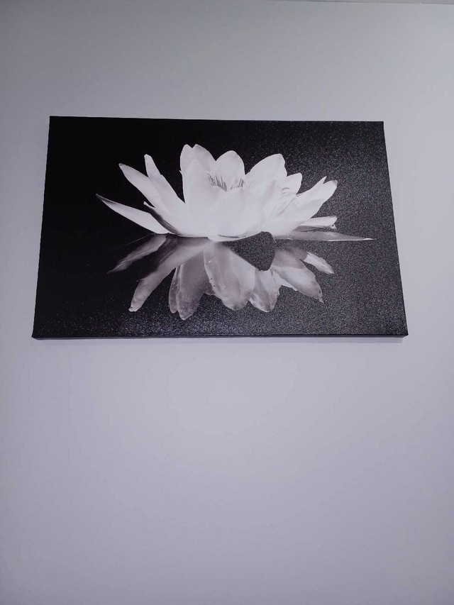 Lotus flower print - wall art in Arts & Collectibles in Fredericton