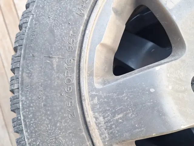 Winter tires in Tires & Rims in Bedford - Image 3