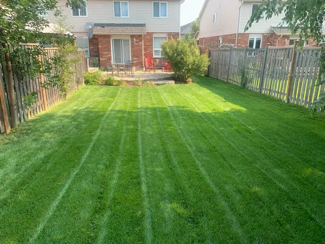 Quality lawn care without the big business price in Lawn, Tree Maintenance & Eavestrough in Cambridge - Image 5