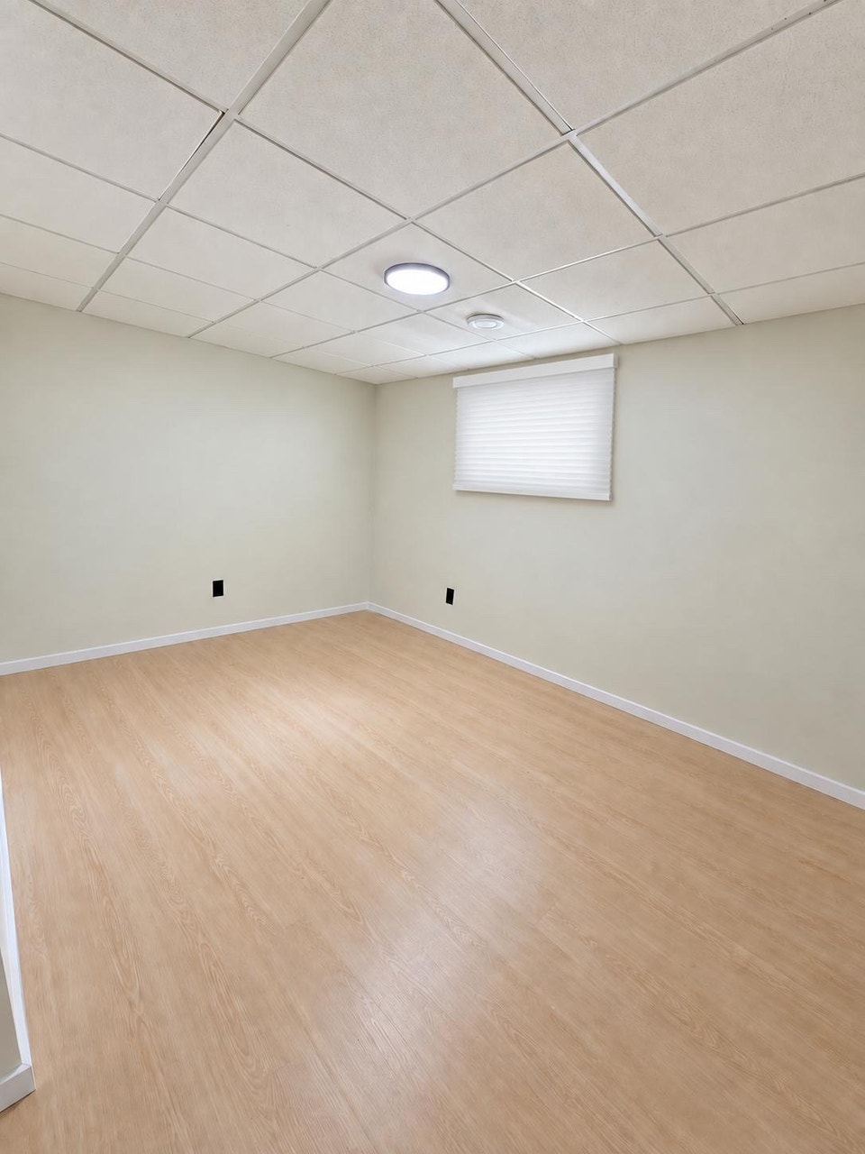 Modern Finished Basement Rental 4