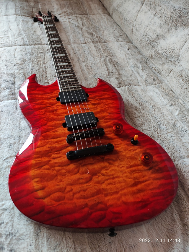 ESP LTD Viper Deluxe 1000 for sale or trade in Guitars in Mississauga / Peel Region