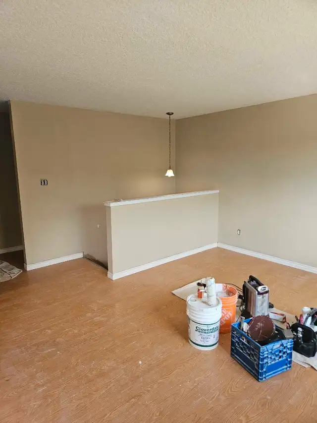 Calgary Affordable Painting  587-917-143762863242307715124