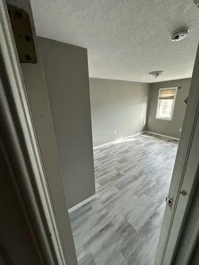 Room for rent in a rental property, All male roomates so preferably a Male roomate is wanted Profess...