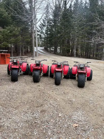 ISO honda three wheelers, send what you got, I am also on the hunt for a set of rear tires