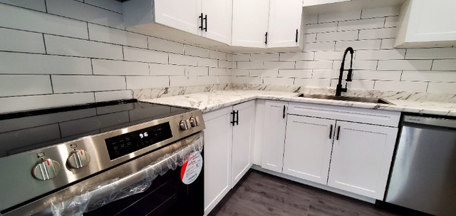 Beautifully Renovated 3 Bedroom Duplex Unit in Belleville in Long Term Rentals in Belleville