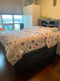 Queen Size Bed Frame with Bookshelf Headboard and 12 Drawers