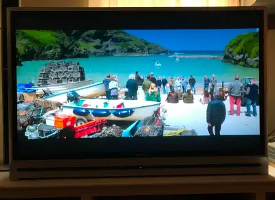 Great picture quality! Very low viewing hours (was a basement TV and not used very much). Includes r...
