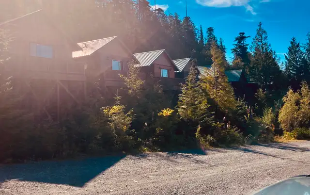 Cabin For Rent Port Hardy in Long Term Rentals in Port Hardy / Port McNeill - Image 6