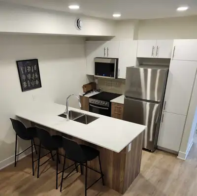 Bright furnished two-bedroom apartment (newly built)