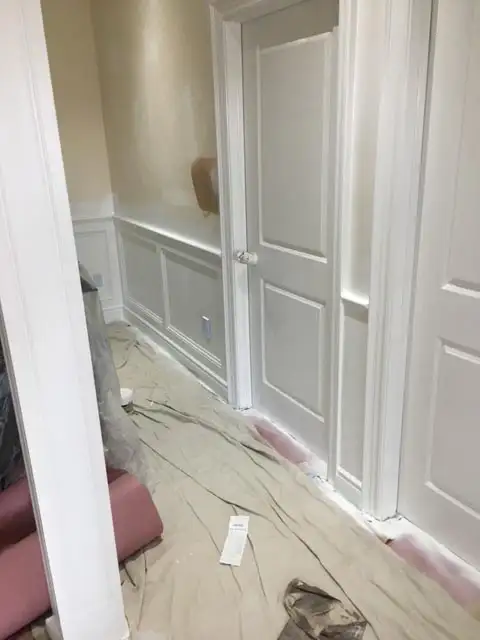 PROFESSIONAL PAINTER553848940780605448