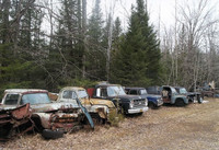 Wanted Old scrap/abandoned vehicles 